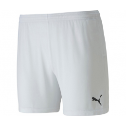 Puma TeamGoal 23 Knit Short...