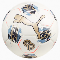 Puma CP 10 Performance Ball...