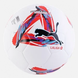 Puma La Liga 1 FIFA Quality...