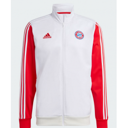 Adidas FC Bayern DNA TT (2324)